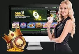1x Bingo Hướng Dẫn Chơi